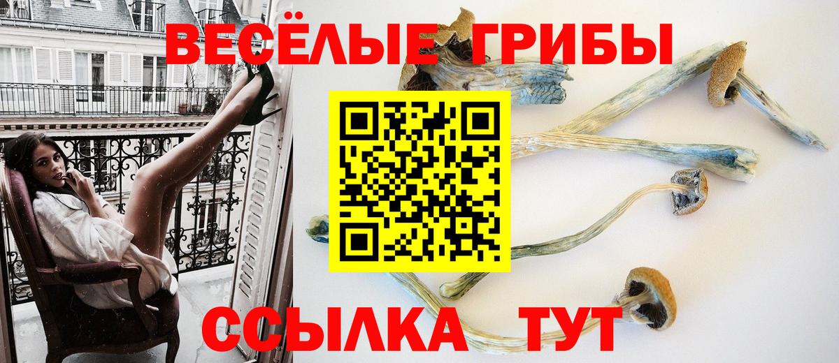 Новоуральск  Галлюциногенные грибы Cubensis  Вход с VPN 