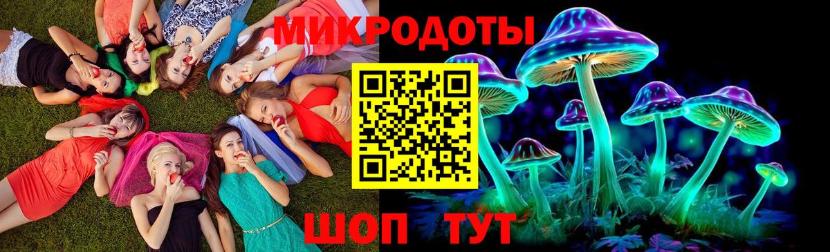 Псилоцибиновые грибы Psilocybe Новоуральск